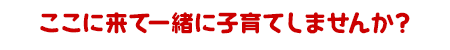ここに来て一緒に子育てしませんか？